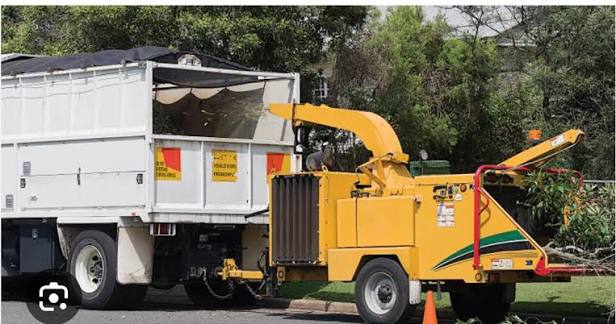 NASO Tree Service - Abattage Des Arbres photo 8