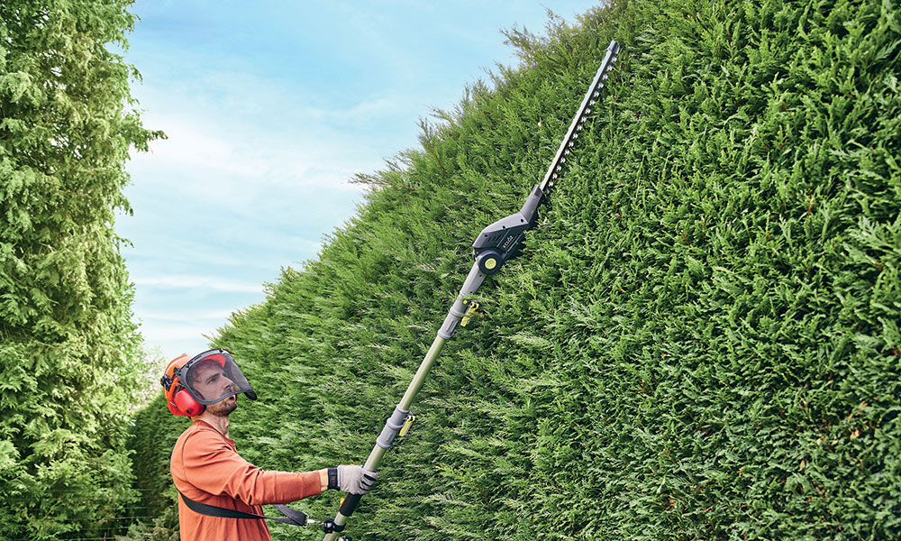 NASO Tree Service - Abattage Des Arbres photo 4